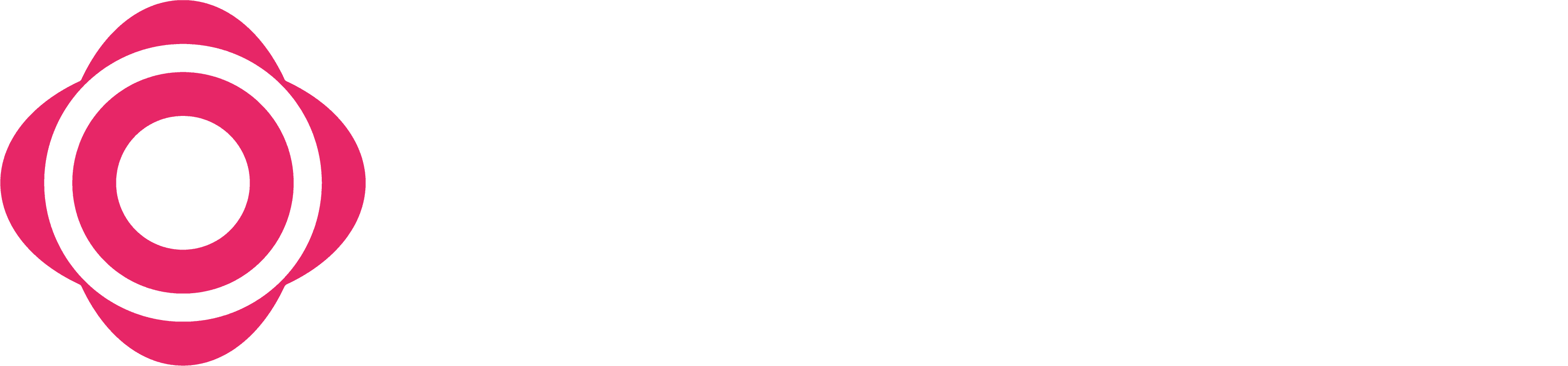 Nolecom Logo